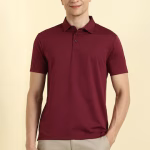 Men Maroon Solid Polo Neck T-shirt