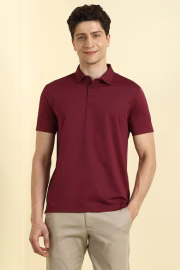 Men Maroon Solid Polo Neck T-shirt